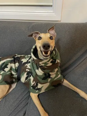 Cammo deluxe style greyhound coat camouflage double polar fleece washable