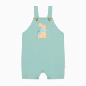 Peter Rabbit Summer Overalls