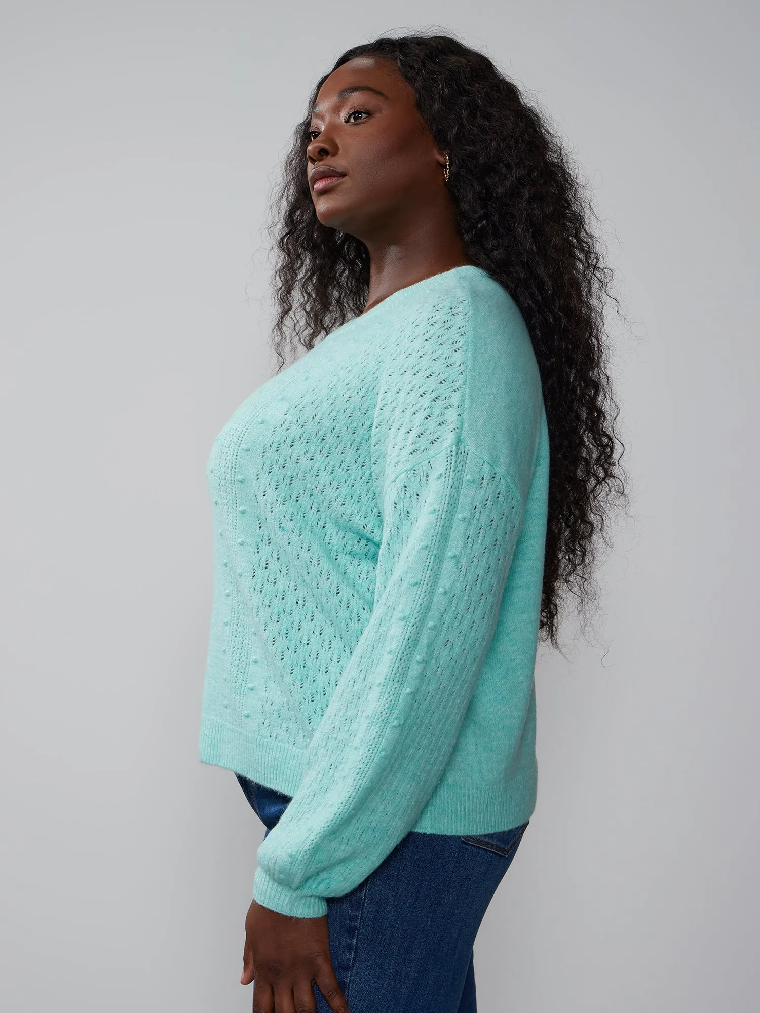 Plus Crew Neck Balloon Sleeve Pullover
